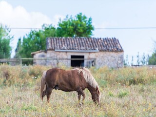 Villa Llubi Ambiente 29