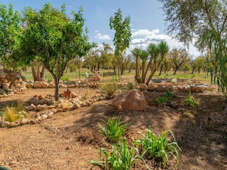 Villa Santa Maria del Camí Buitenaudio-opname 25