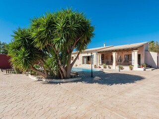 Villa Binissalem  53