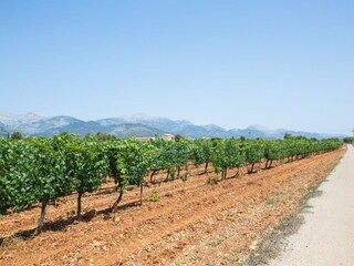 Villa Binissalem  41