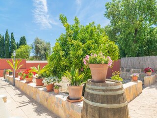 Villa Binissalem  48