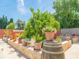 Villa Binissalem  51