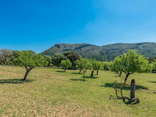 Villa Alcudia  58