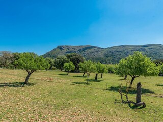 Villa Alcudia  59