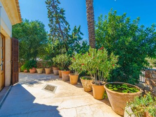 Vakantiehuis Portocolom Buitenaudio-opname 19