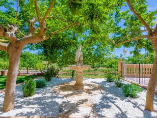 Villa Petra Buitenaudio-opname 15