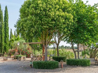 Villa Vilafranca de Bonany Outdoor Recording 8