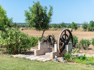 Villa Campos Grabación al aire libre 13