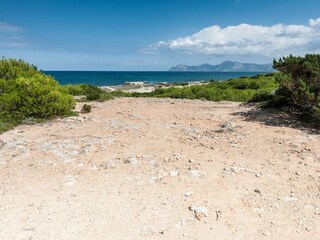 Appartement Can Picafort Environnement 30