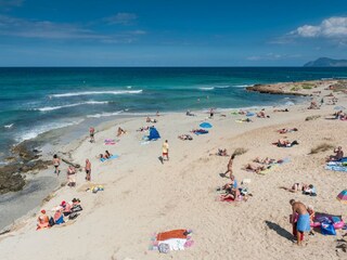 Apartment Can Picafort Environment 31