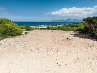 Apartment Can Picafort Umgebung 34