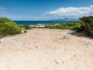 Appartement Can Picafort Environnement 33