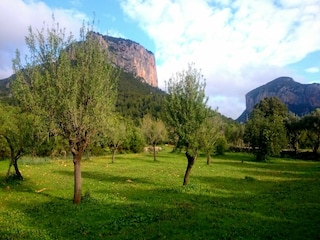 Holiday house Alaró Environment 29