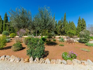 Casa de vacaciones Sencelles Grabación al aire libre 13