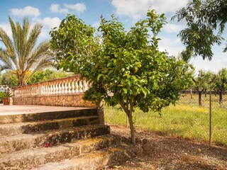 Villa Can Picafort Buitenaudio-opname 7