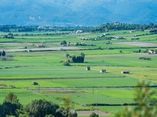 Villa Can Picafort Environnement 25