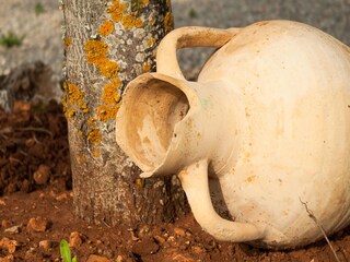 Villa Can Picafort  29