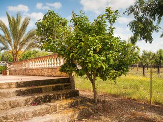 Villa Can Picafort Außenaufnahme 10