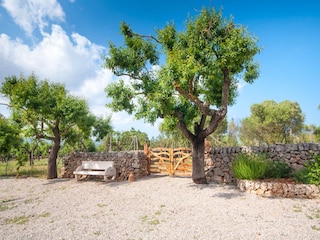 Villa Can Picafort Outdoor Recording 4