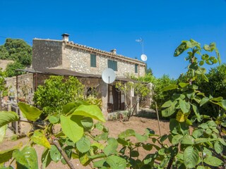 Villa Sineu Buitenaudio-opname 4