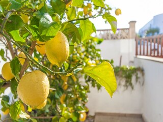 Casa per le vacanze Son Serra de Marina  37