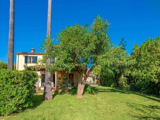 Ferienhaus Pollensa Außenaufnahme 13