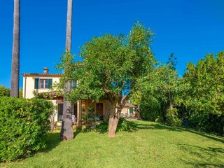 Ferienhaus Pollensa Außenaufnahme 9