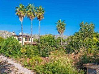 Vakantiehuis Pollensa Buitenaudio-opname 17