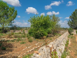 Casa per le vacanze Porreres  16