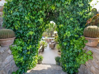 Villa Valldemossa  40