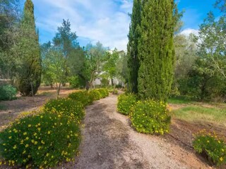 Villa Santa Maria del Camí Grabación al aire libre 14
