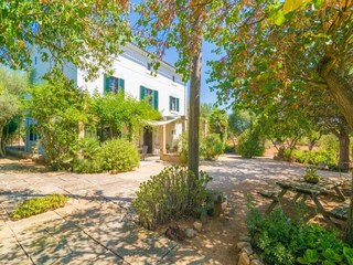 Villa Santa Maria del Camí Buitenaudio-opname 6