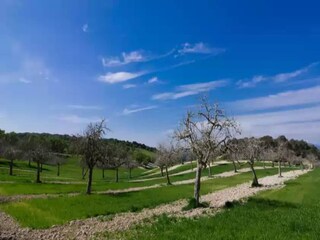 Villa Montuiri Environnement 27