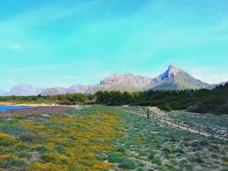 Maison de vacances Colonia de Sant Pere Environnement 18