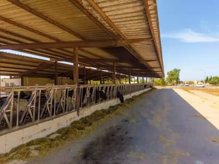 Casa per le vacanze Campos Ambiente 26