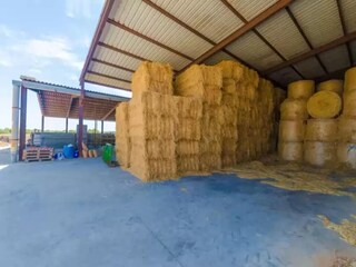 Vakantiehuis Campos Omgeving 22