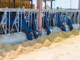 Casa de vacaciones Campos Entorno 21