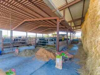 Casa per le vacanze Campos Ambiente 25