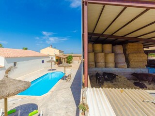 Vakantiehuis Campos Omgeving 24