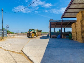 Ferienhaus Campos Umgebung 33