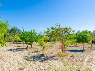 Villa Randa Environnement 20