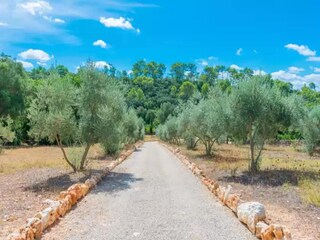 Villa Costitx Omgeving 20