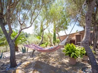 Appartement Costitx  31