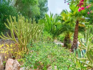 Apartamento Costitx Grabación al aire libre 1