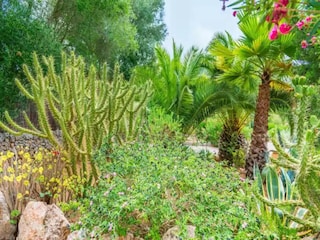 Apartment Costitx Außenaufnahme 1