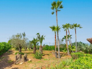 Villa Marratxí Environnement 28