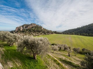 Villa Mancor de la Vall Environment 33
