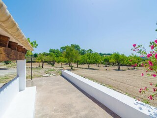 Appartement Montuiri Environnement 21