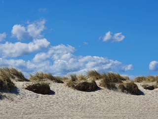 Weiter Dünenstrand