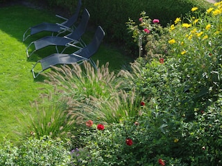 Blick in den Garten